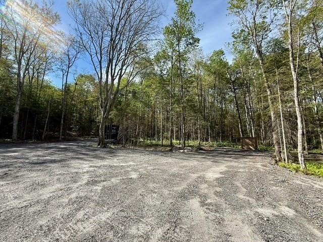 1394 Bartlett Lake Road photo 6