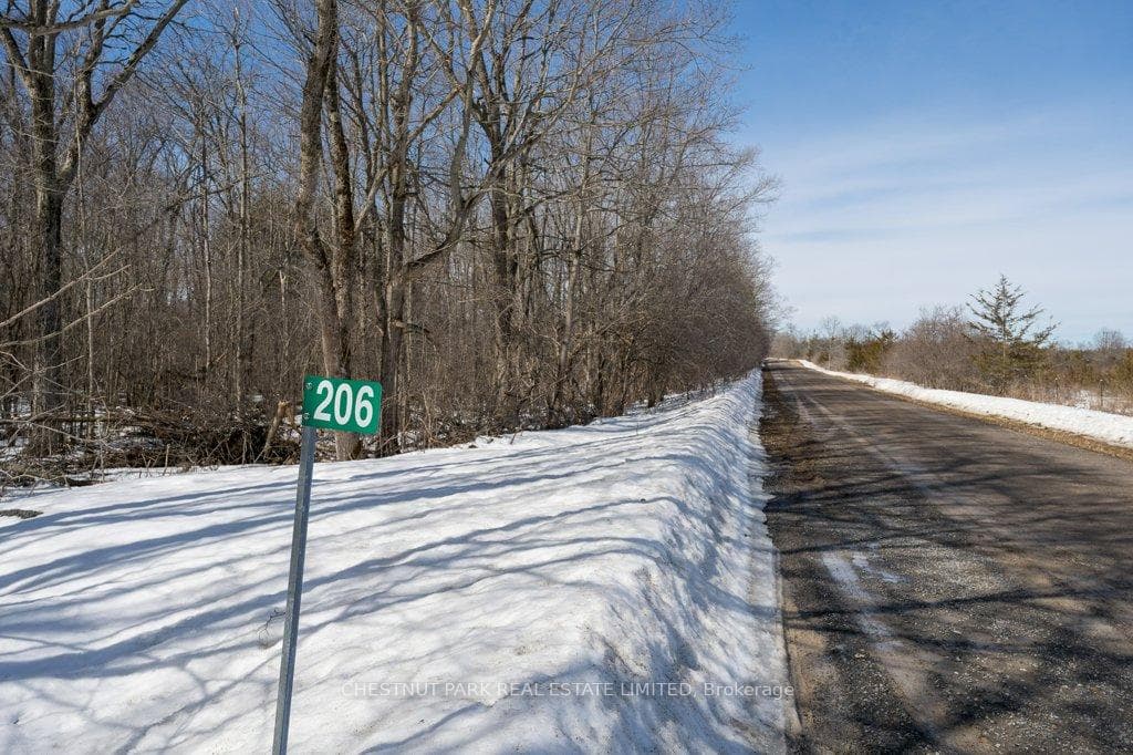 206 Simpson Road photo 28