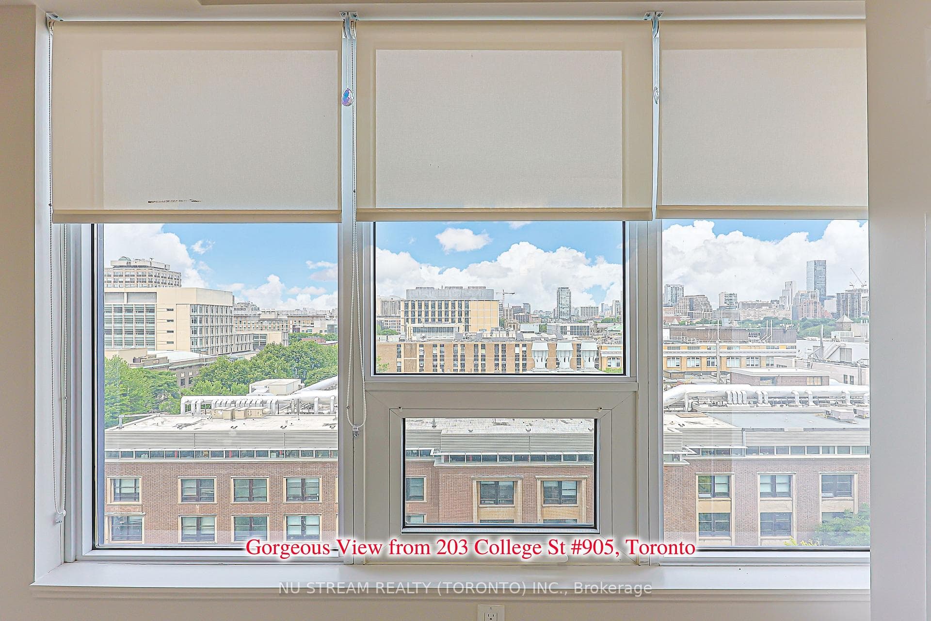 203 College Street Unit 905 photo 13