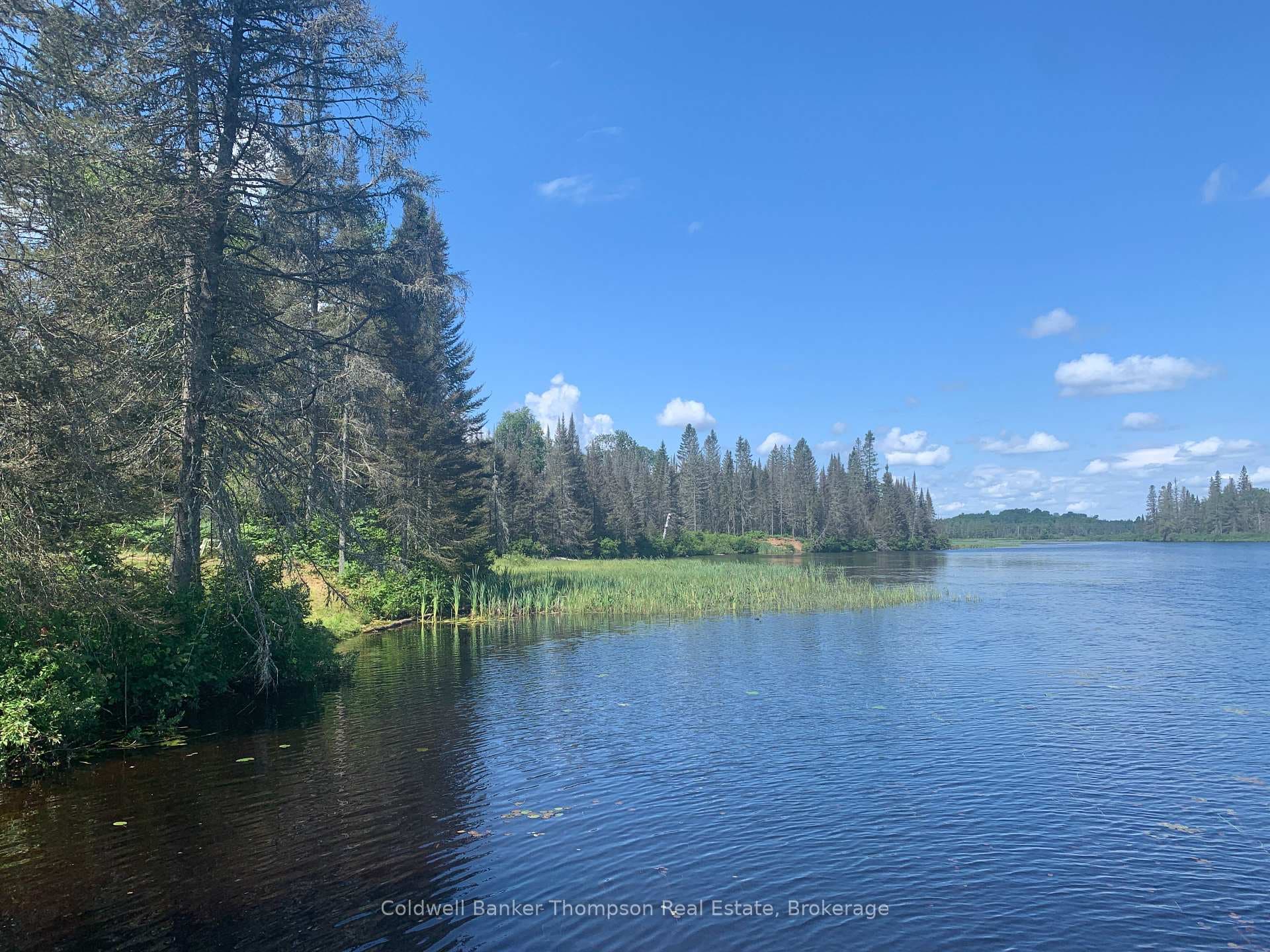 Forest Lake / South River