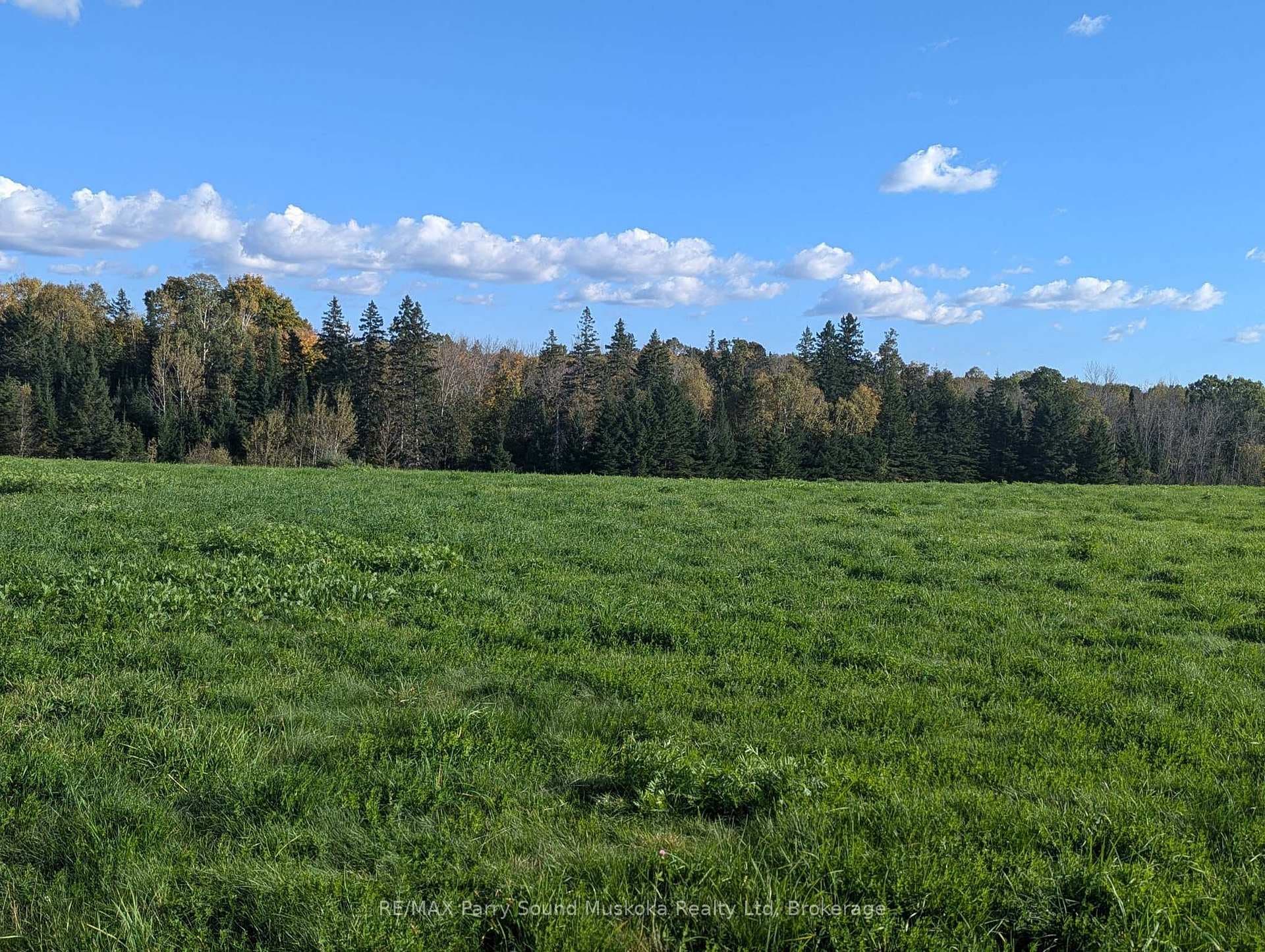 Approx 15+/- acres of privacy