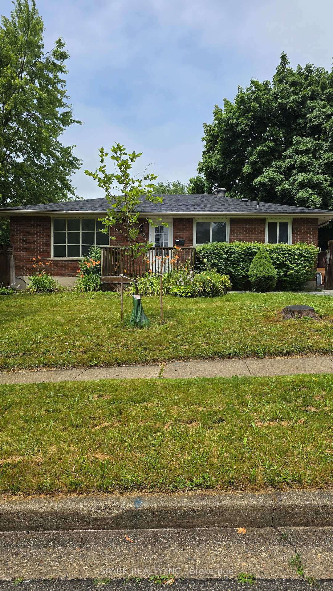 12 Mountford Drive photo 22