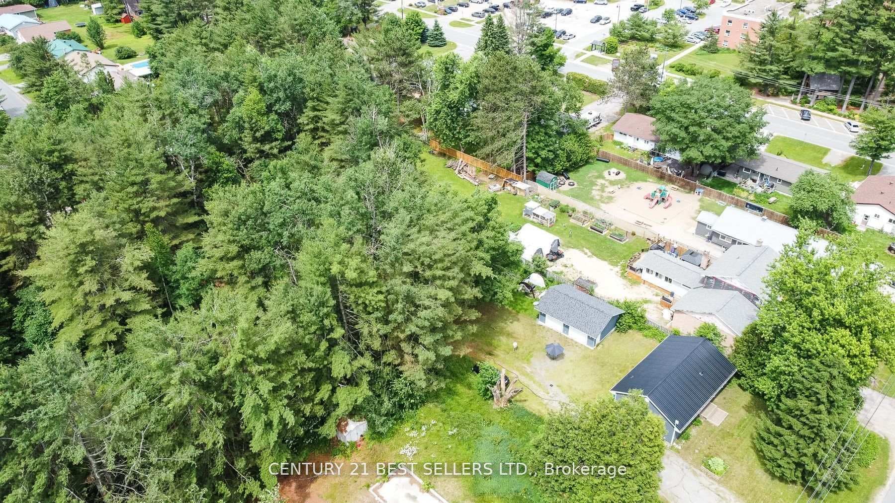 253 Maple Street photo 9