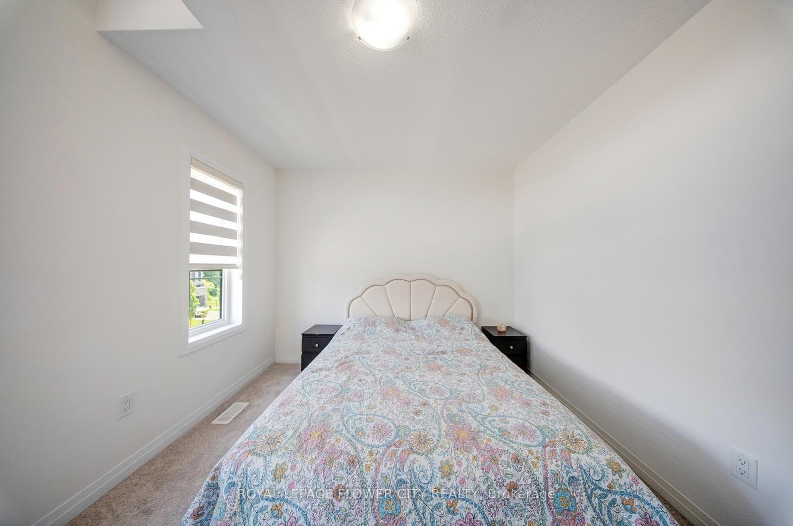 44 Weylie Street photo 36