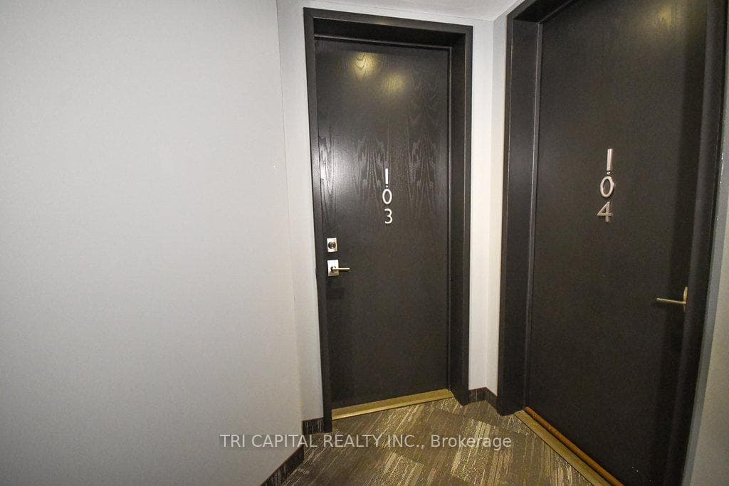 1705 Fiddlehead Place Unit 103 photo 10