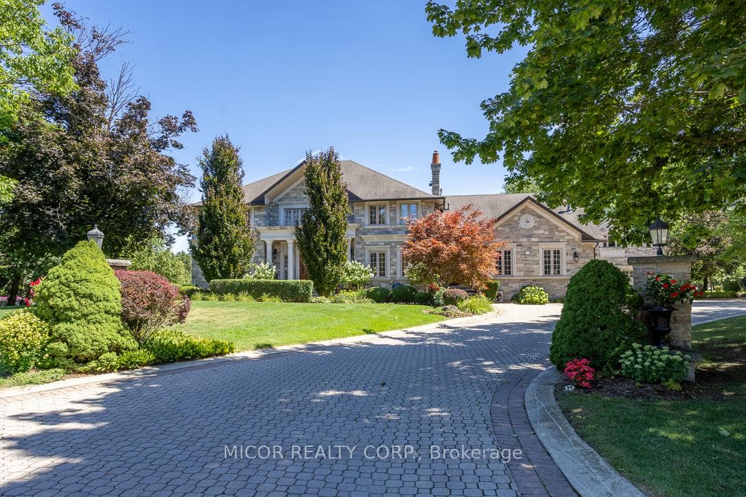 11 Meadowland Court photo 1