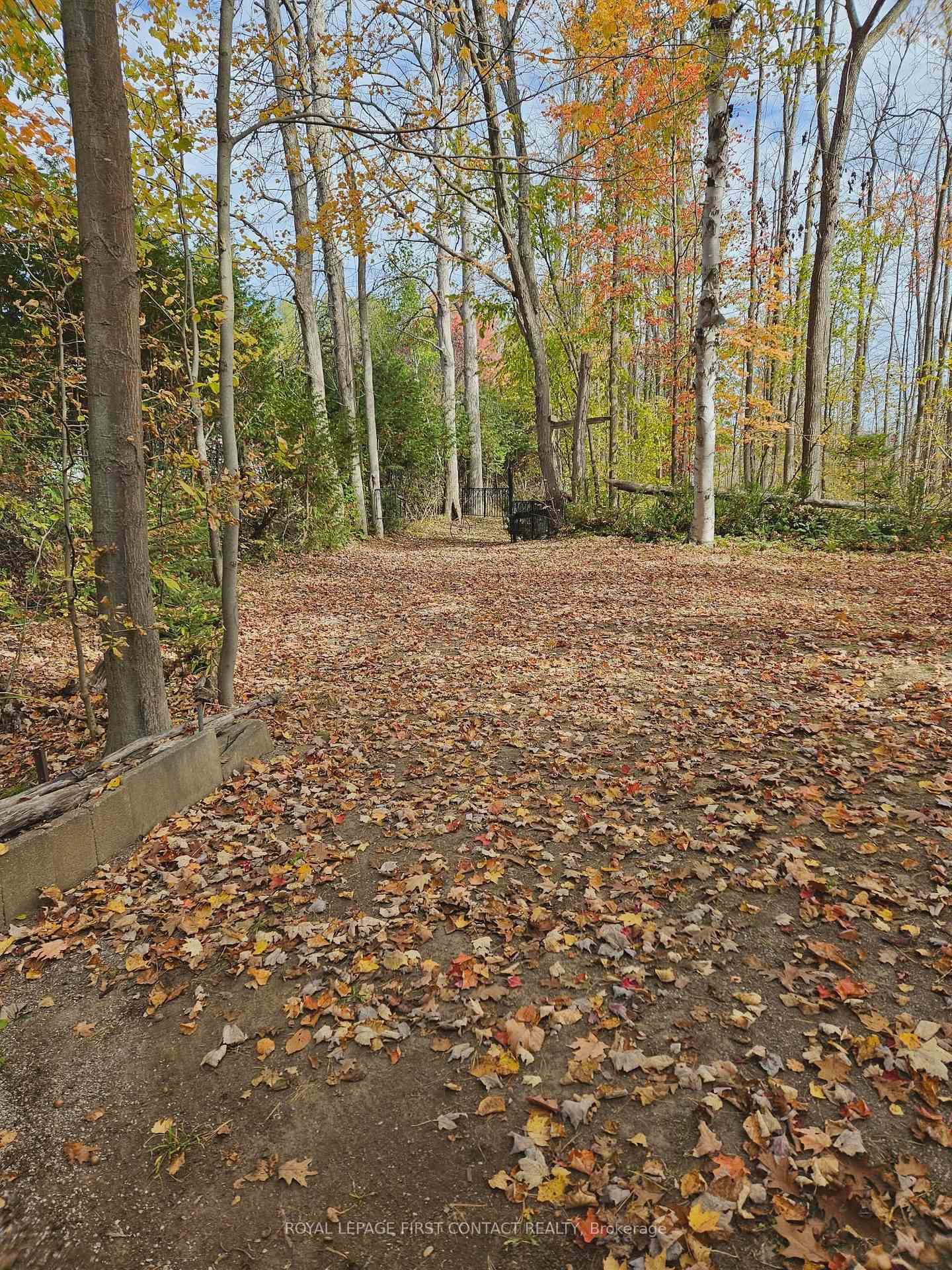 3040 Grass Lake Line photo 2