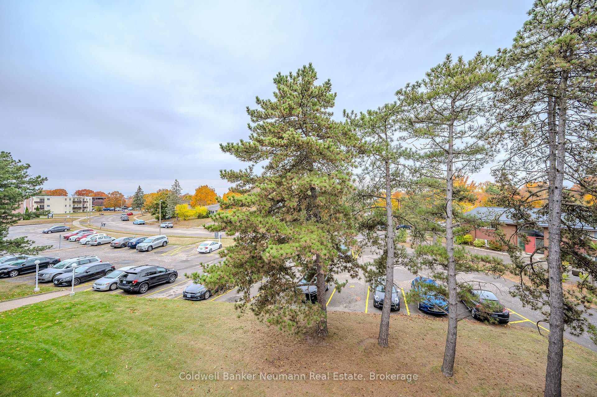 105 Conroy Crescent Unit 511 photo 18