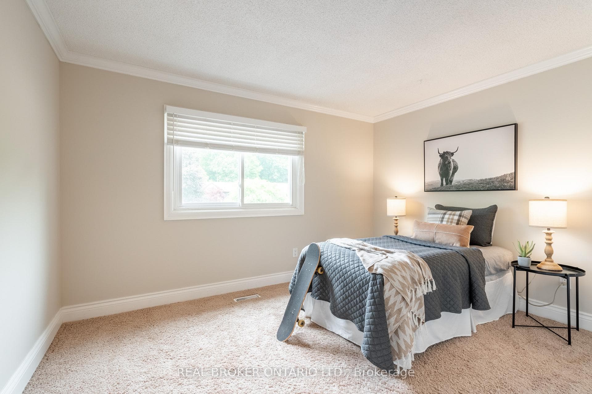 6 Forestview Drive photo 17