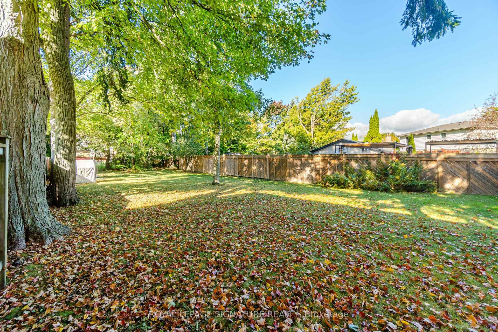 34 Ivan Road photo 33