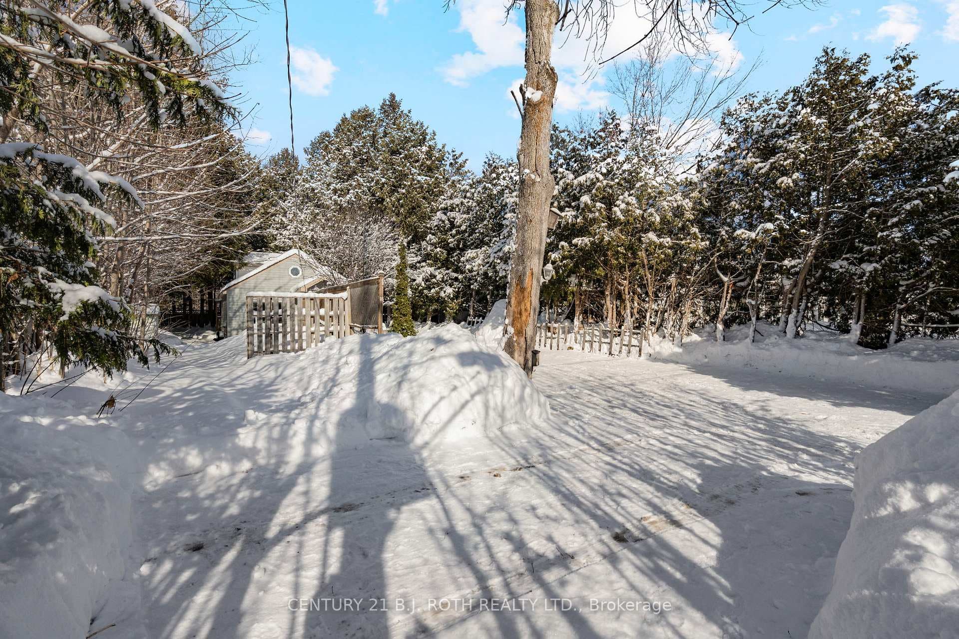 376 Barrie Road photo 3