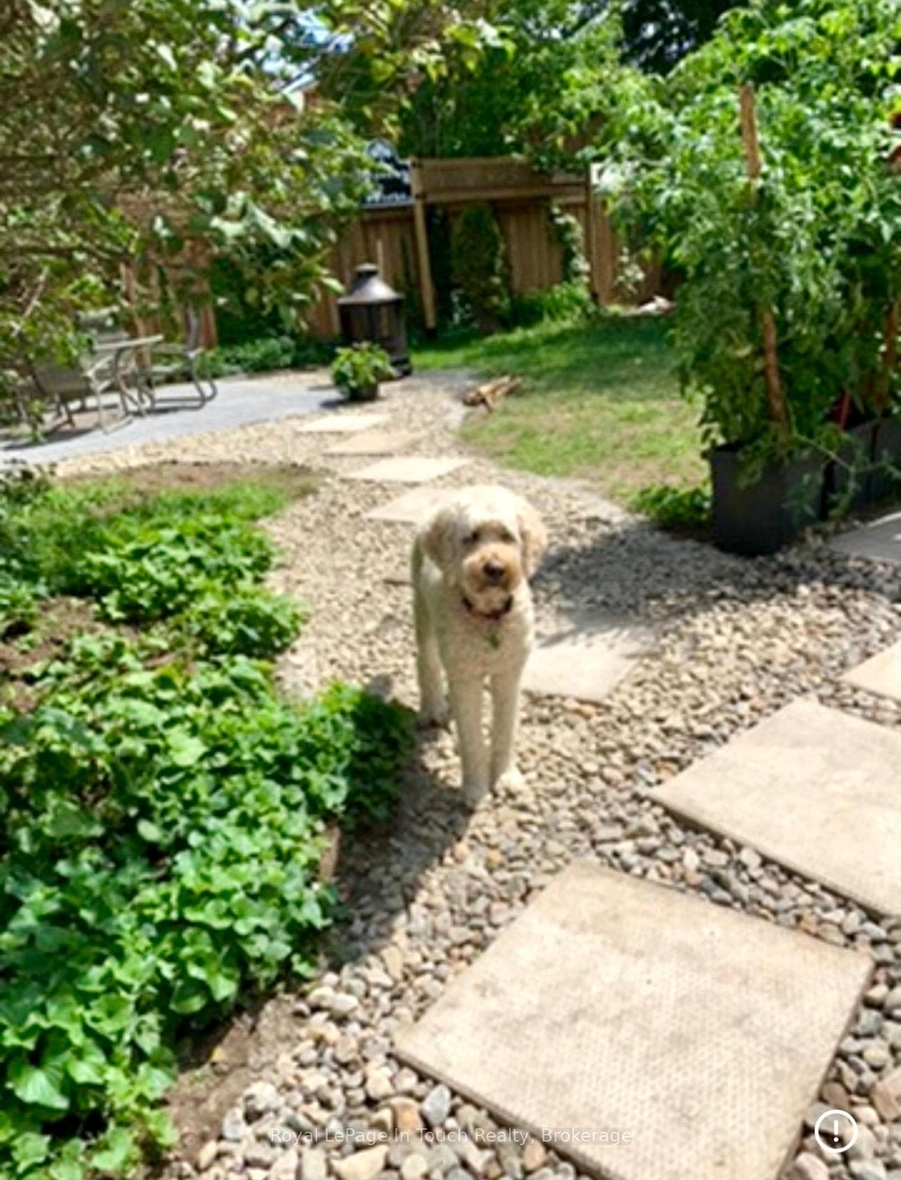 Rear Yard