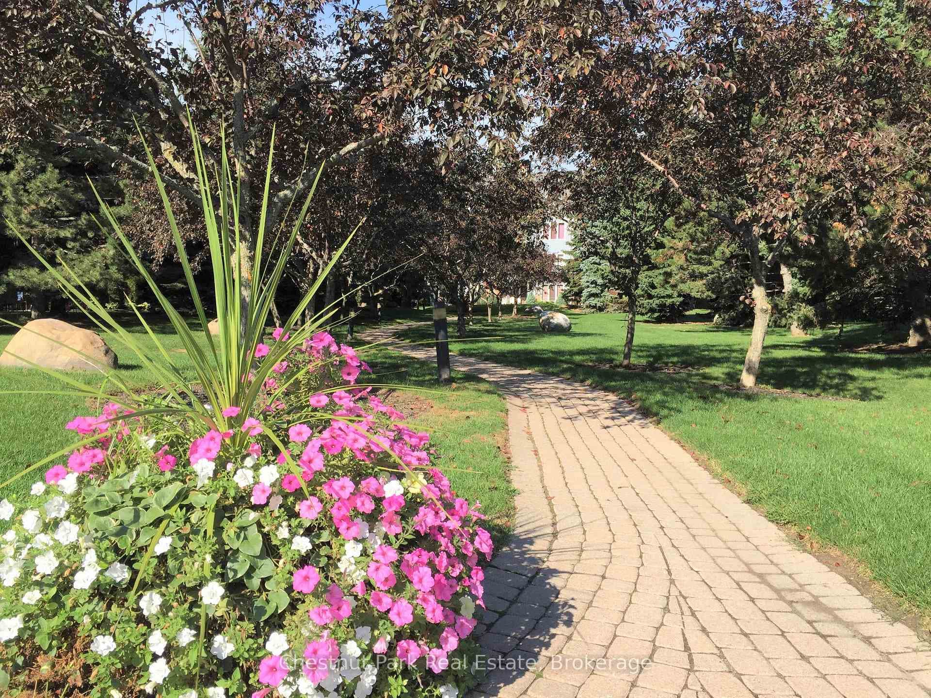 Condo grounds & amenities