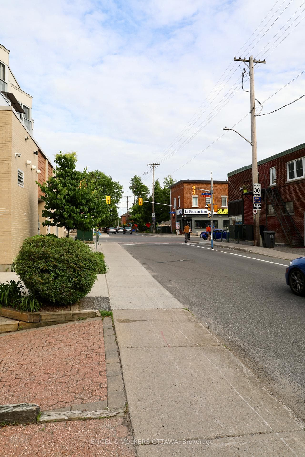 119 Percy Street photo 31