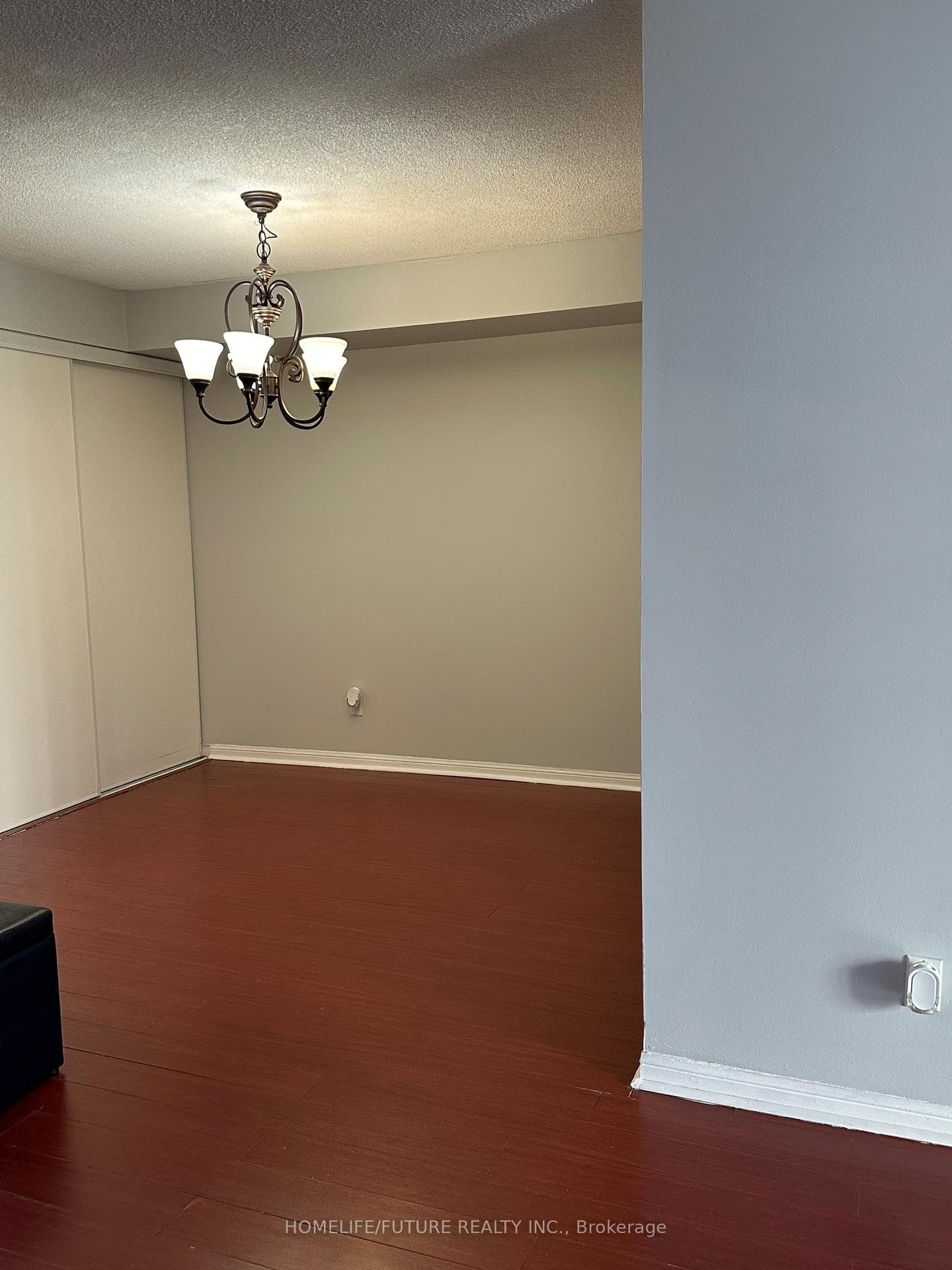 88 Corporate Drive Unit 1519 photo 4