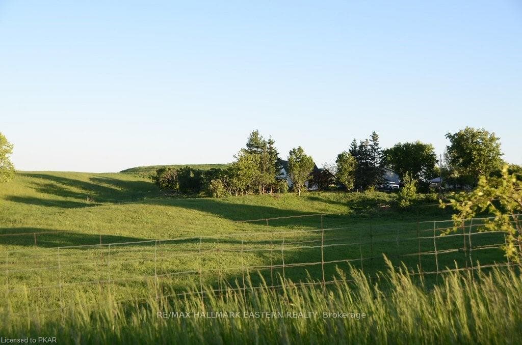 View to the South