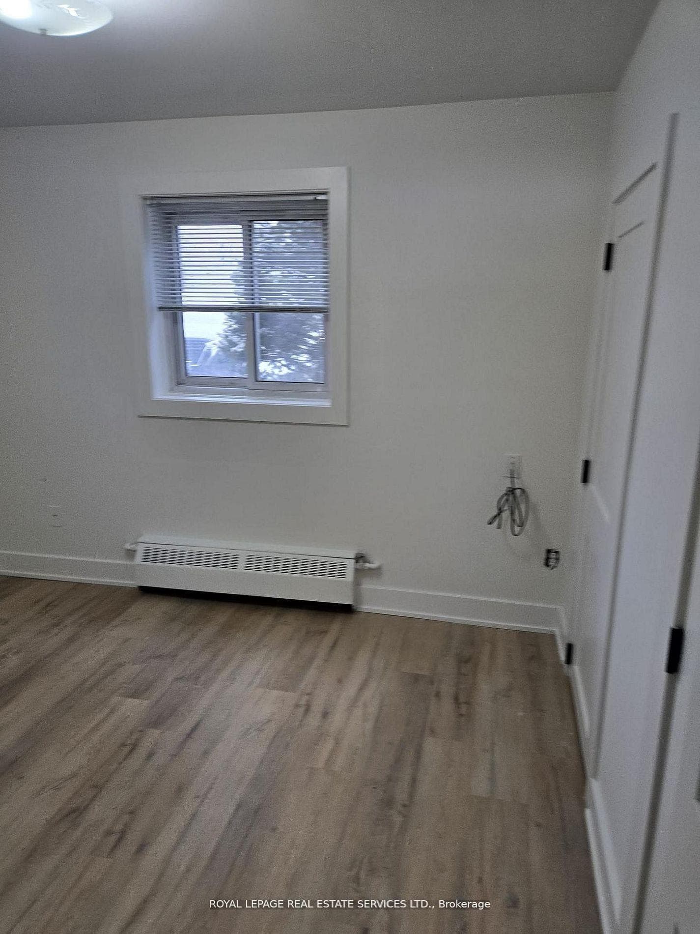 52 Peter Street Unit 1 photo 15