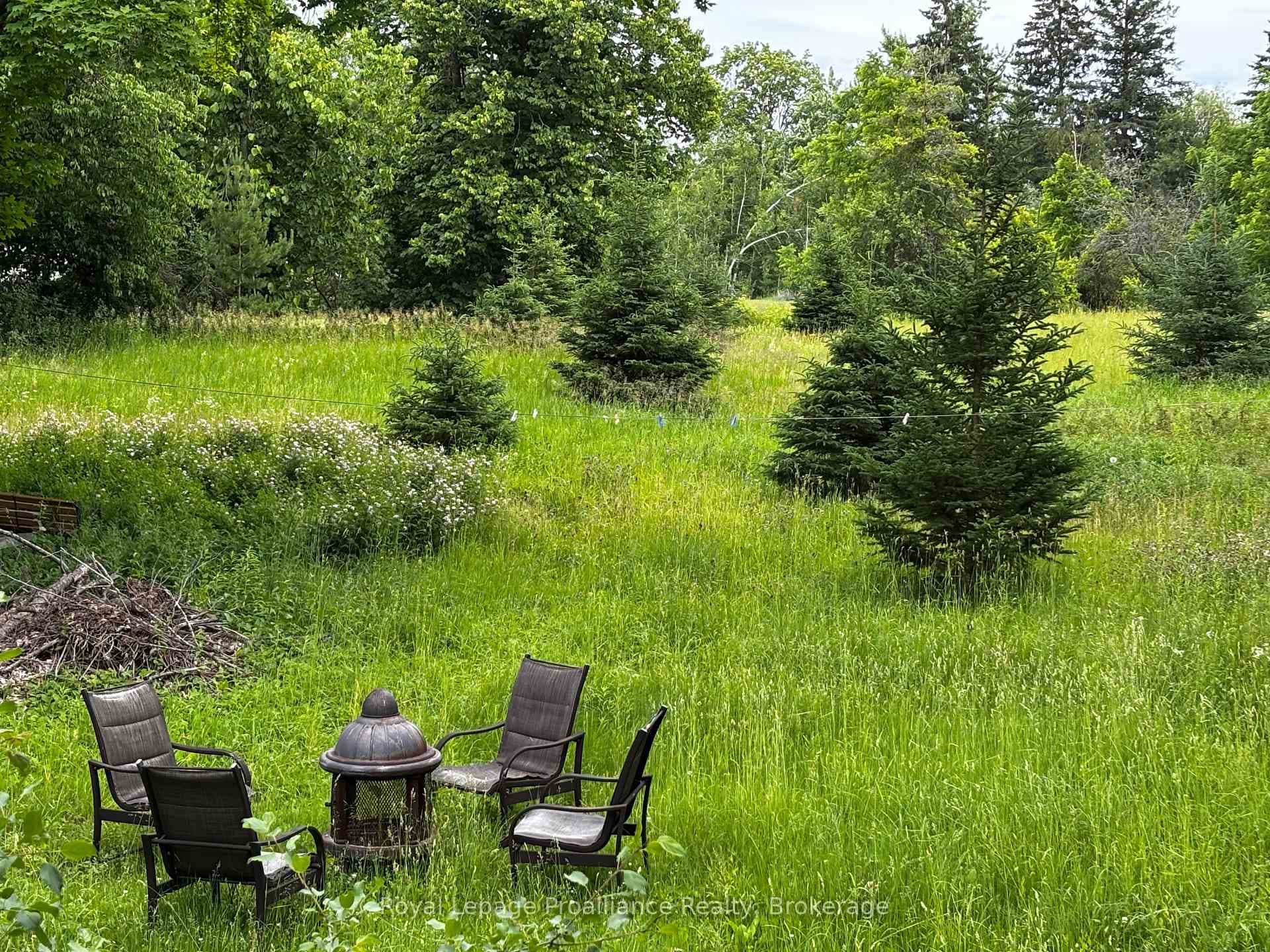 2683 Maplegrove Road photo 17