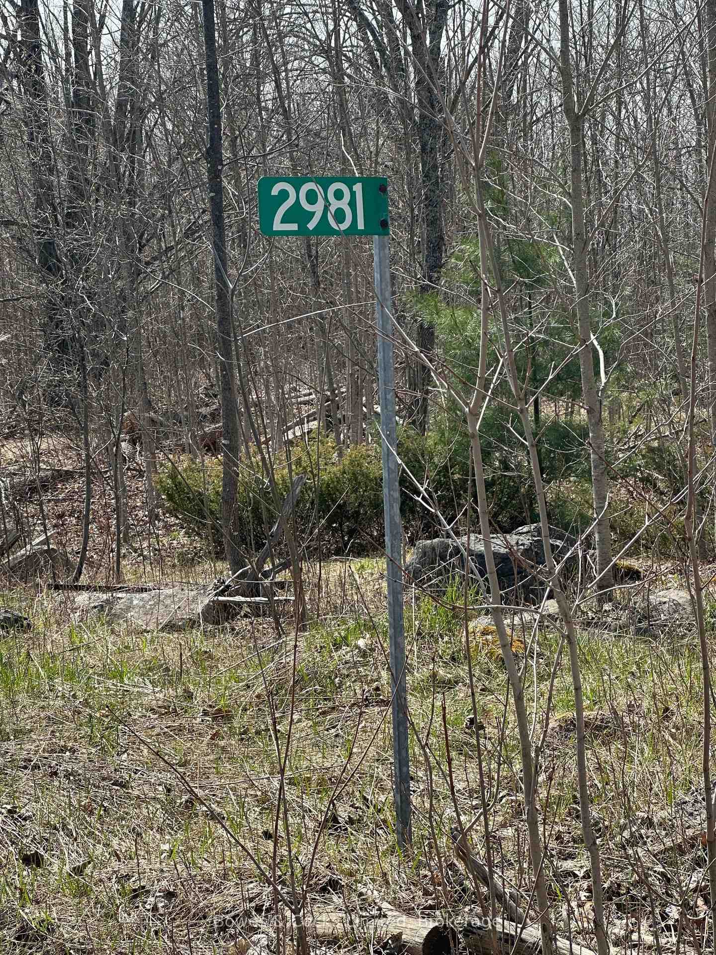 2981 County Road 44 N/A photo 7