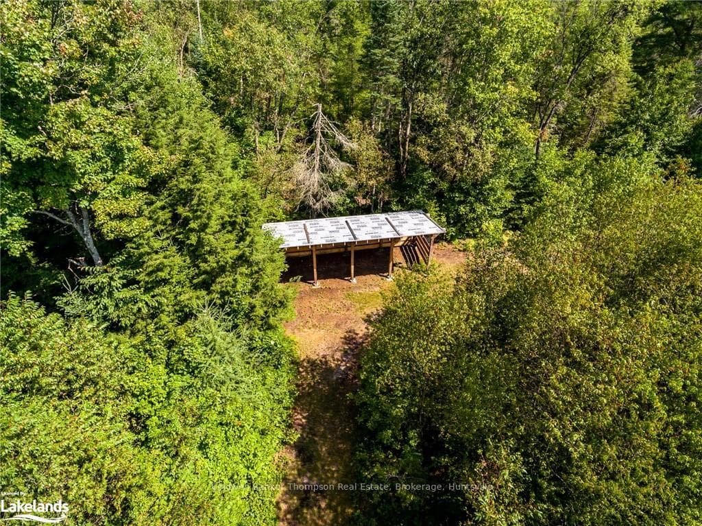 29 WOLF PAW Road photo 45