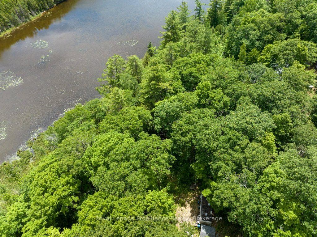 2328B Road 506 N/A photo 18