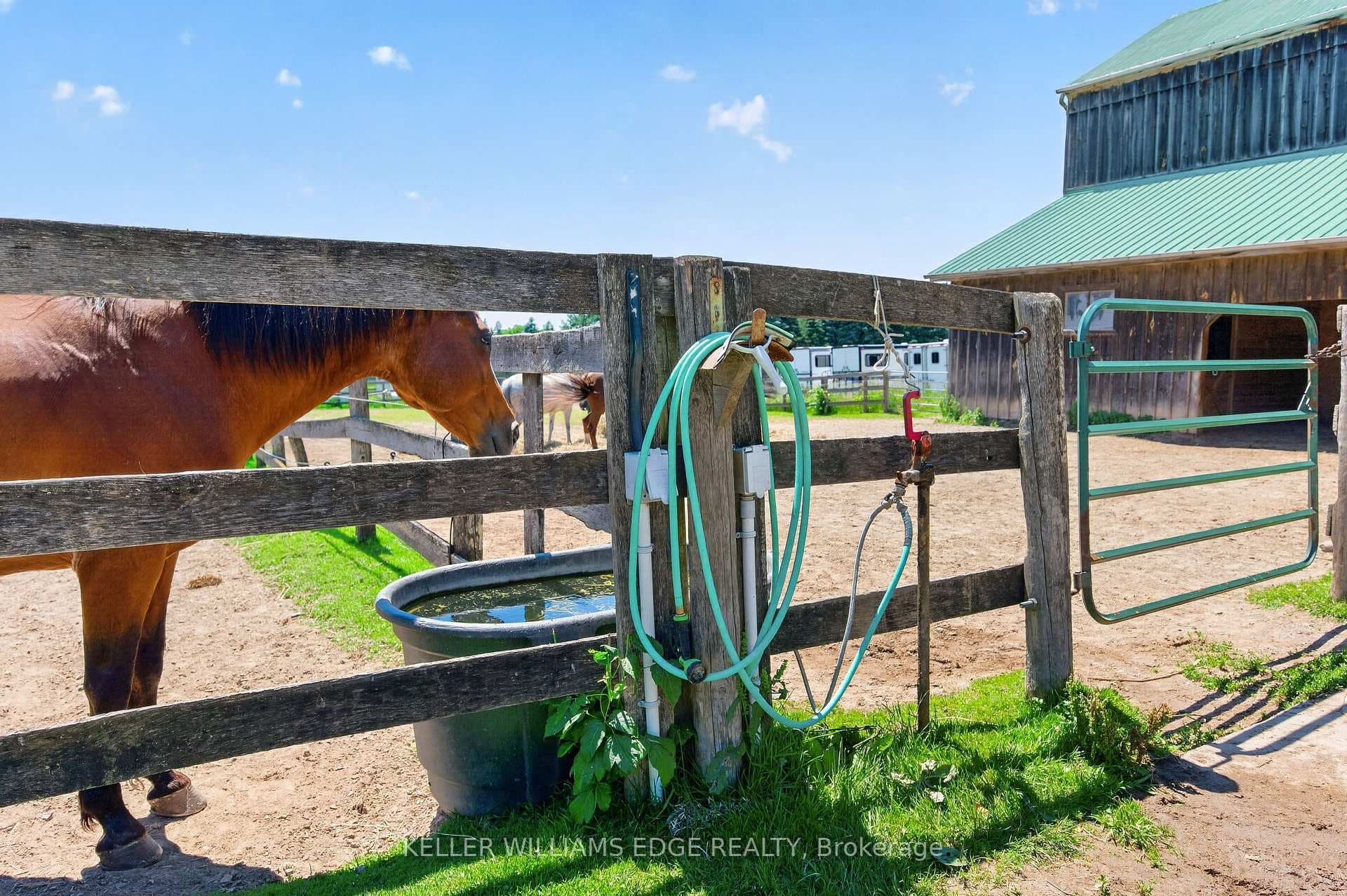 PADDOCKS WITH WATER & HYDRO