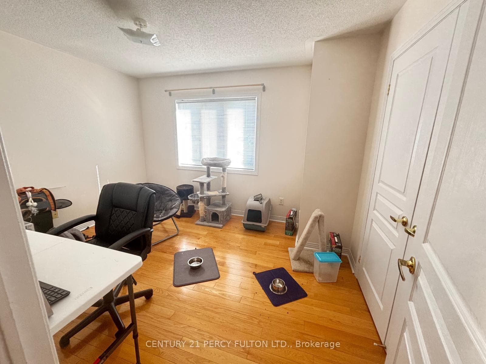 64 Oakford Drive photo 10