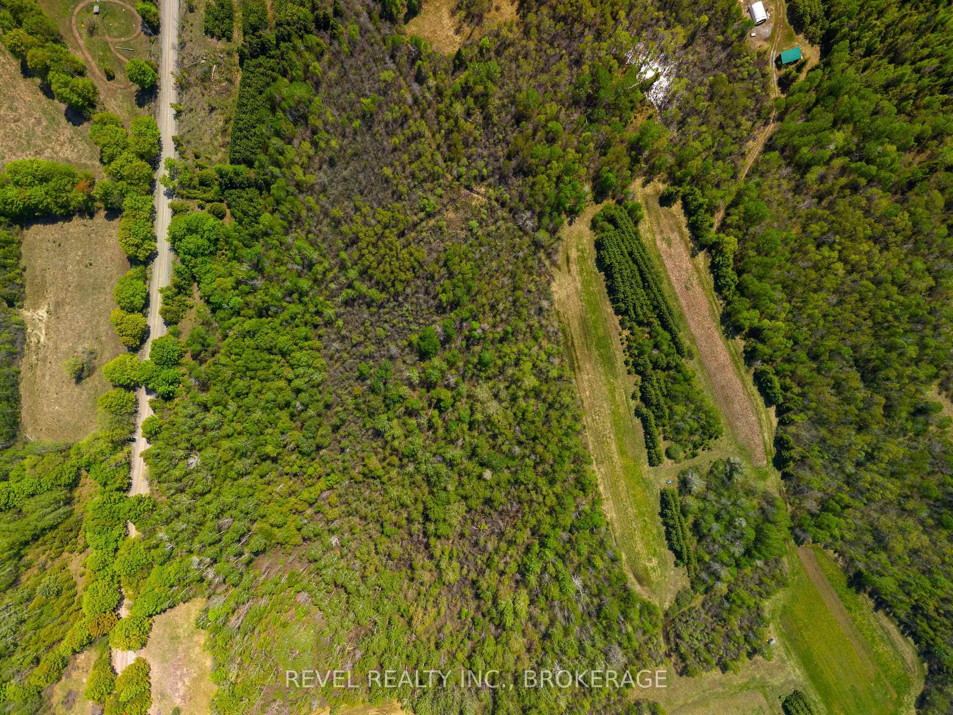 12206 Land O'nod Road photo 33