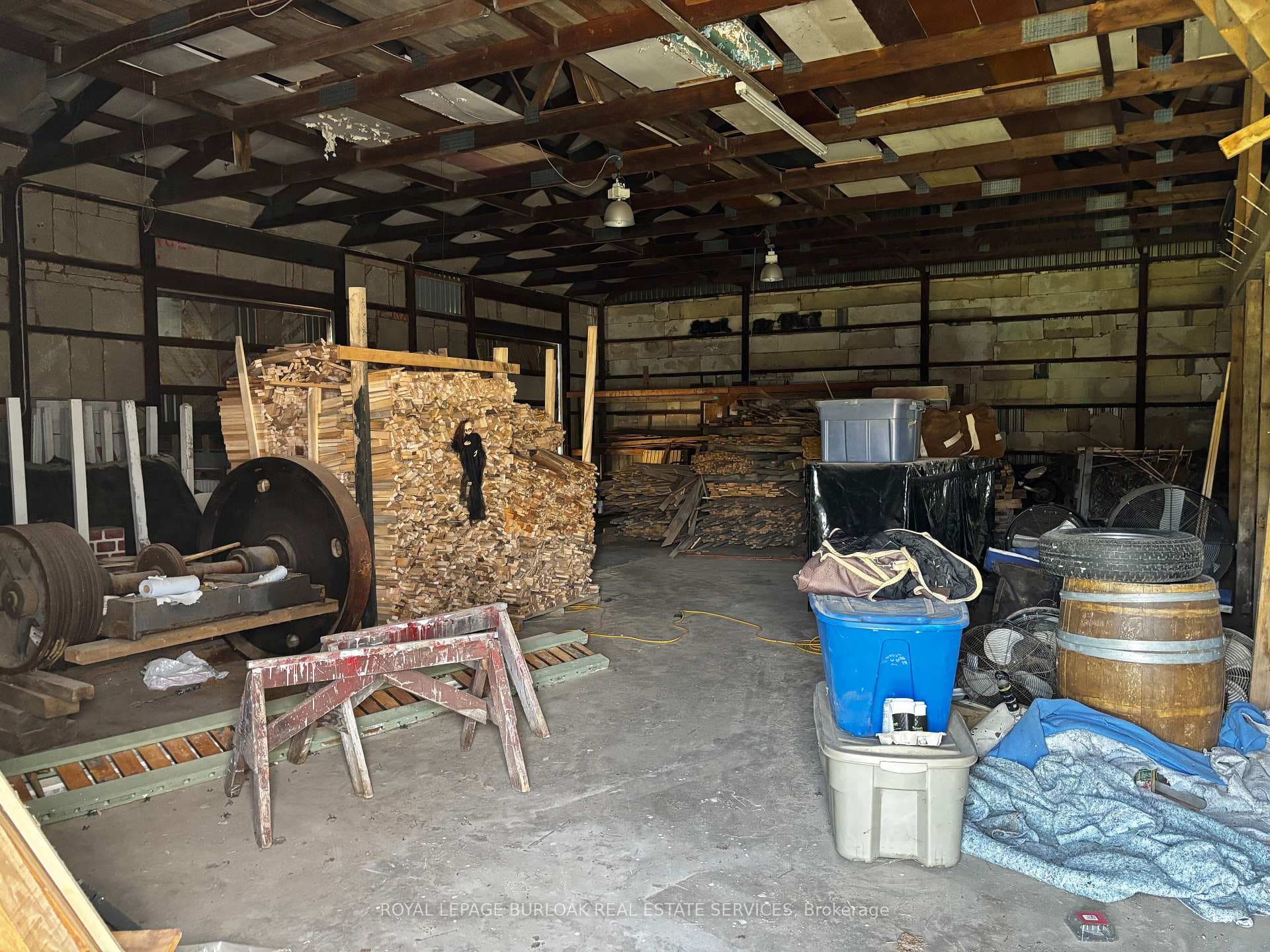23 Petrolia Street photo 9