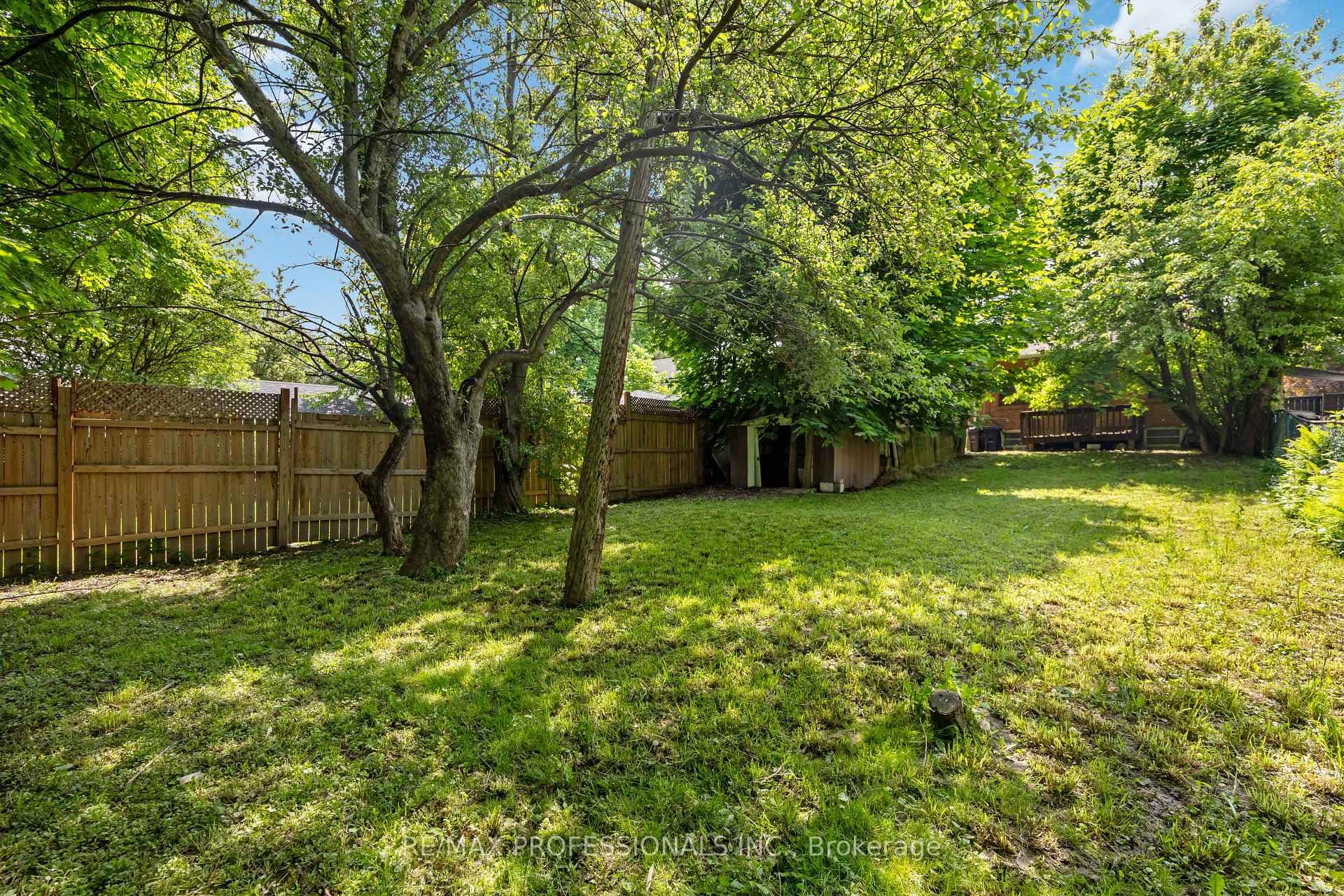 34 Dixon Road photo 18
