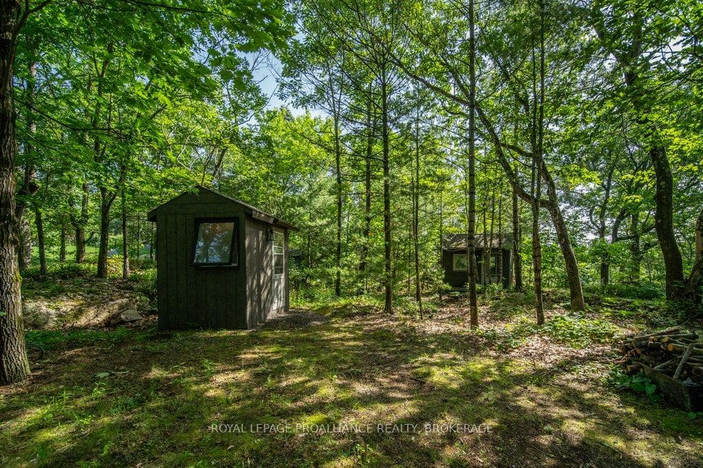 811 Hermit Thrush Lane photo 24