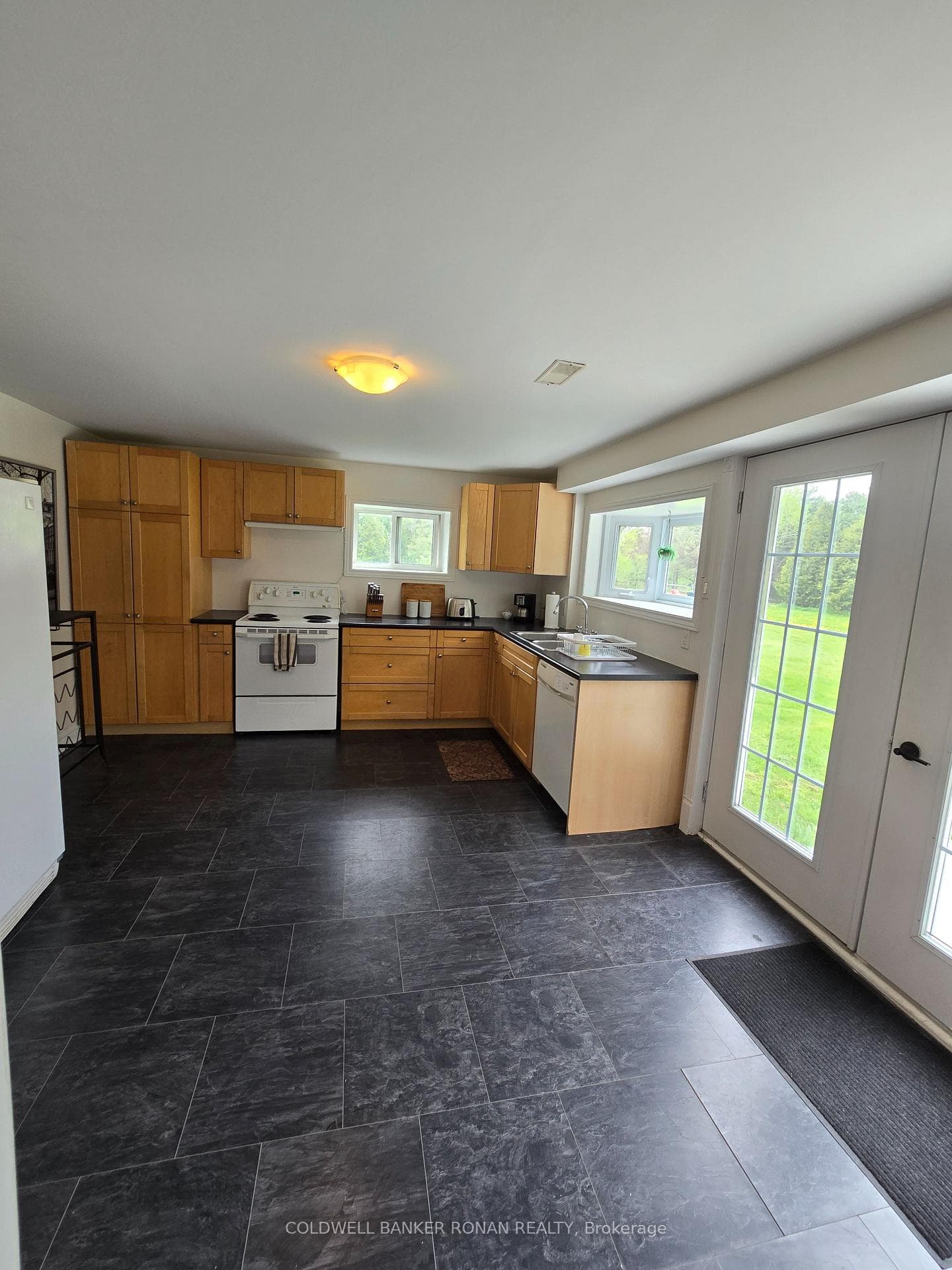 1252 Concession Road 7 N/A Unit BSMT photo 4