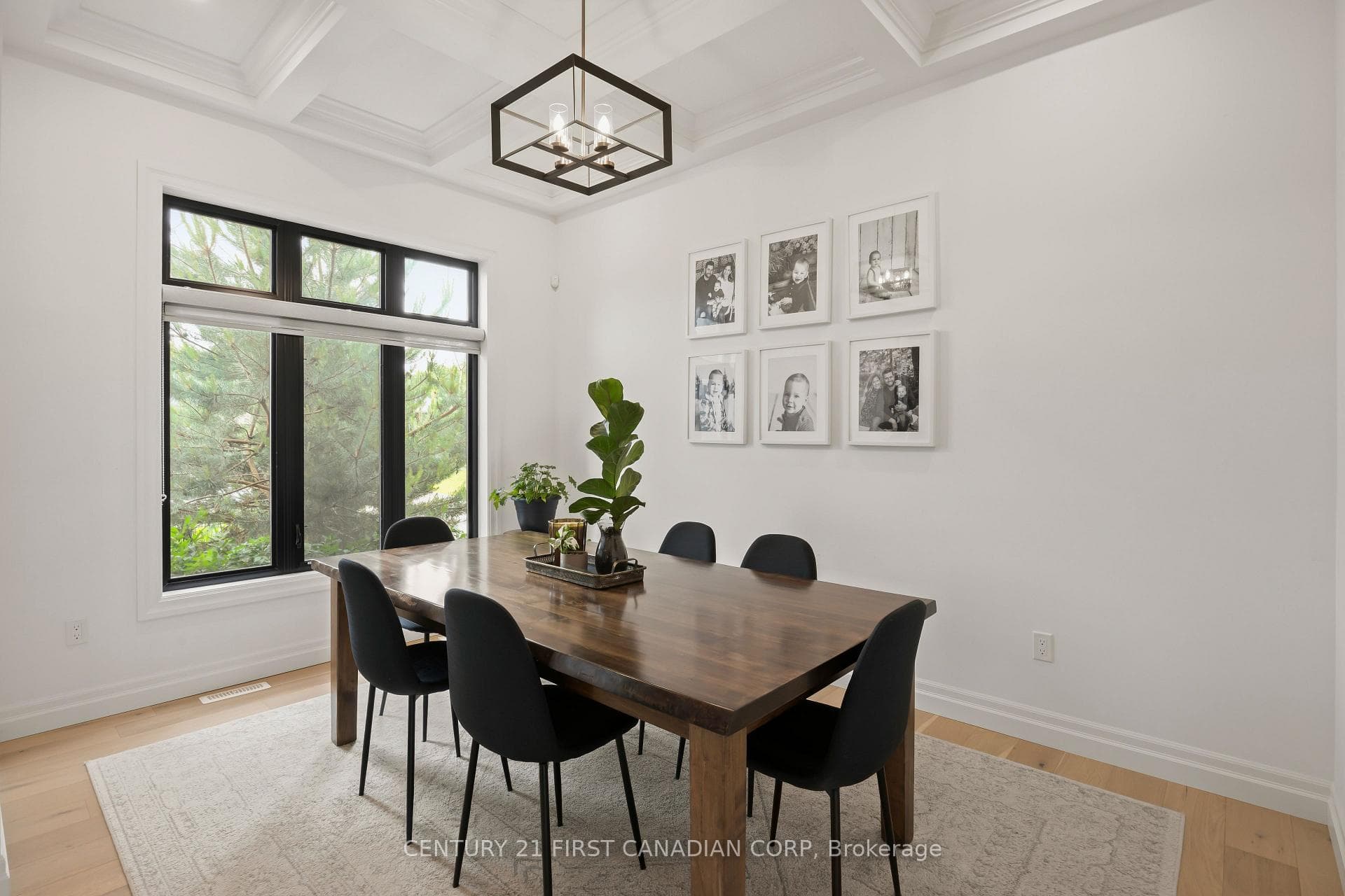 8 Oscar Davis Court photo 16