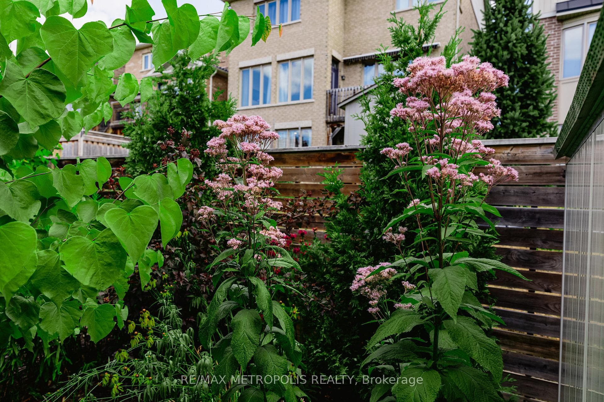 7 Cherry Lane photo 18