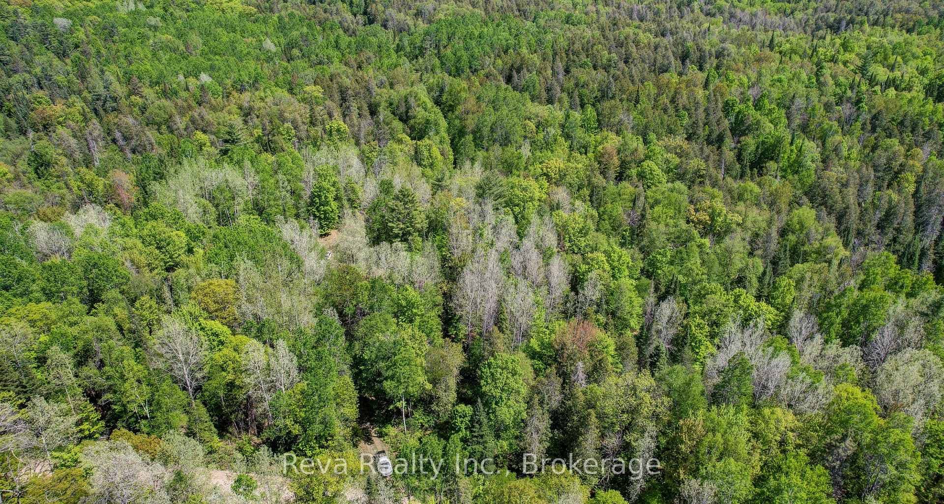 280 Lower Rosenthal Road photo 20