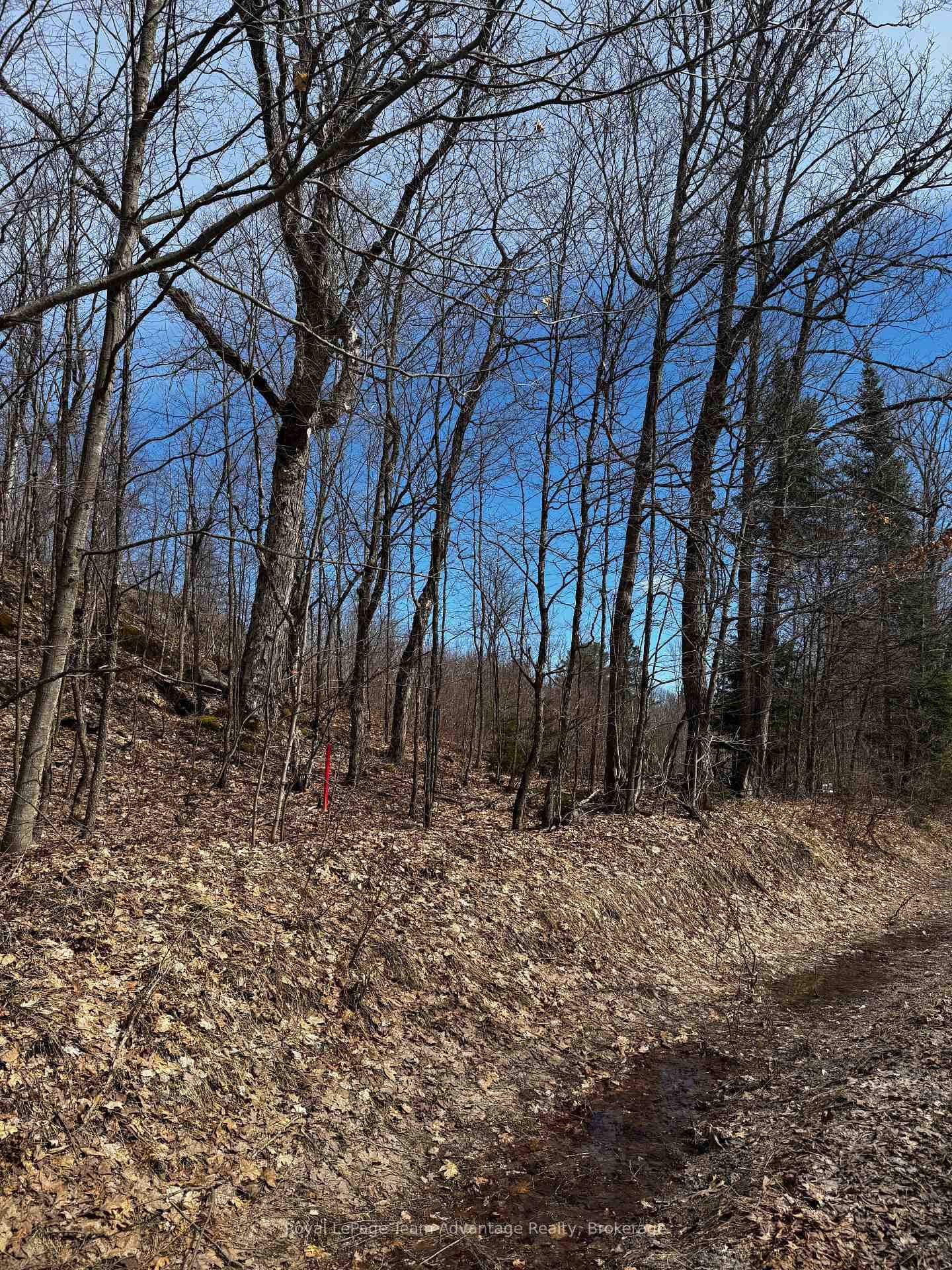 Lot 2 Lorimer Lake Road photo 8