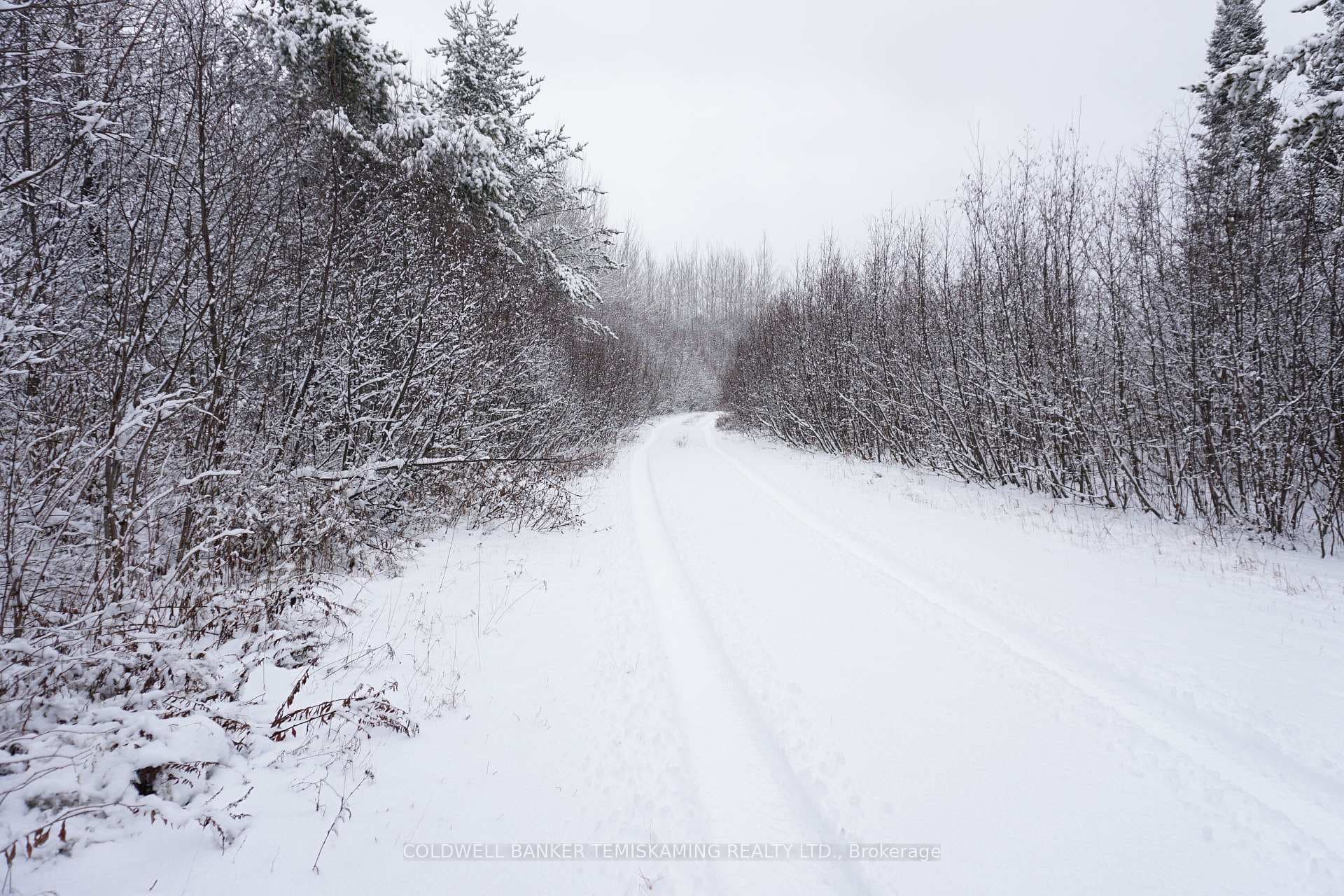 LT10 C1 HIGHWAY 560 N/A photo 13