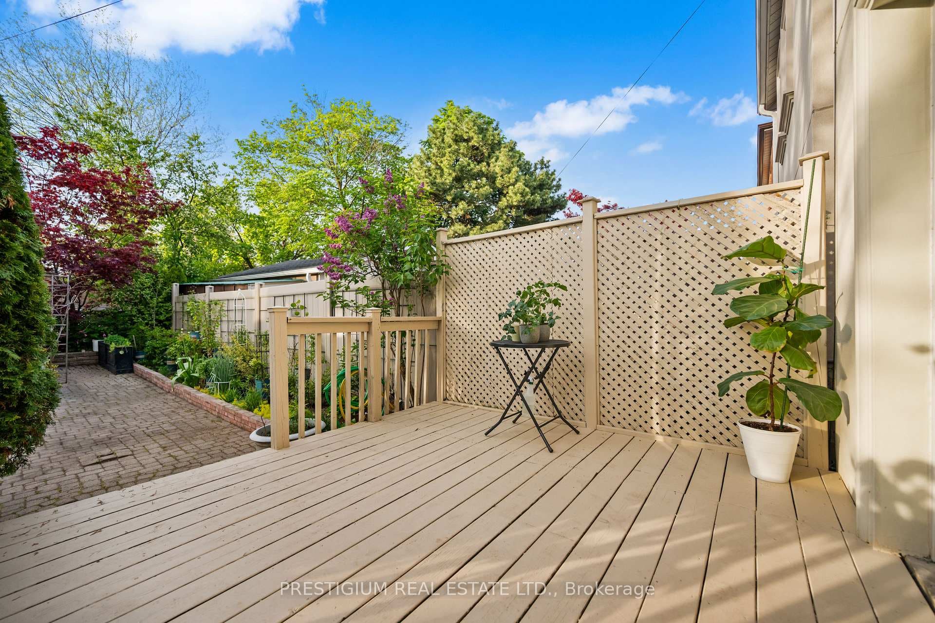 556 Davisville Avenue photo 40