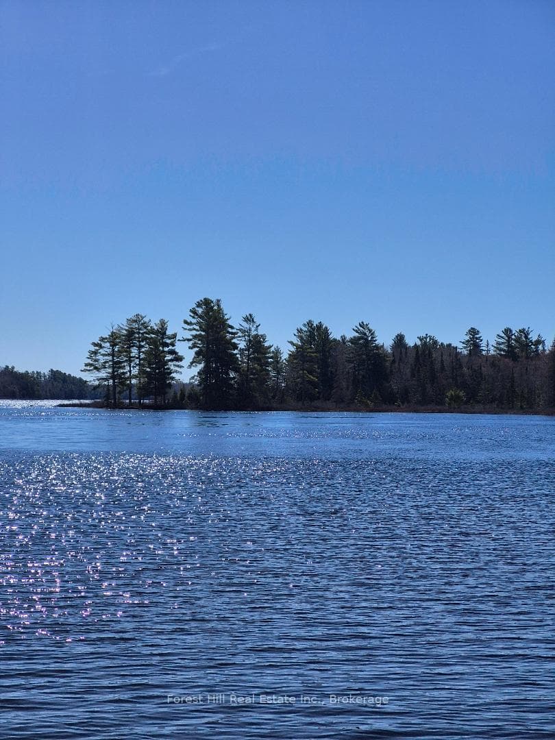 Axe lake
