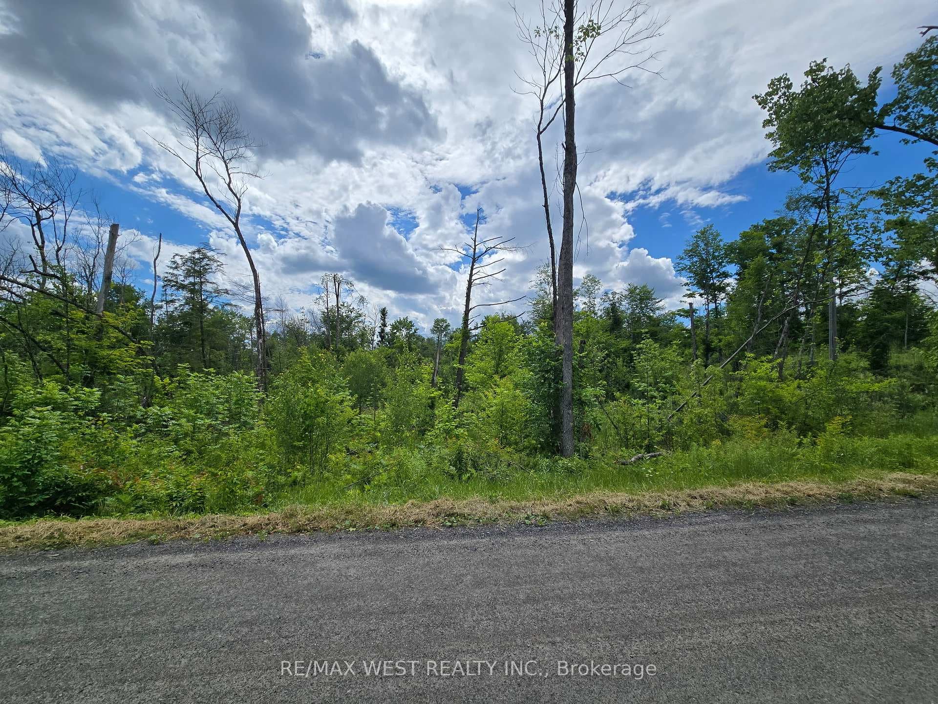 507 Black River Road photo 5