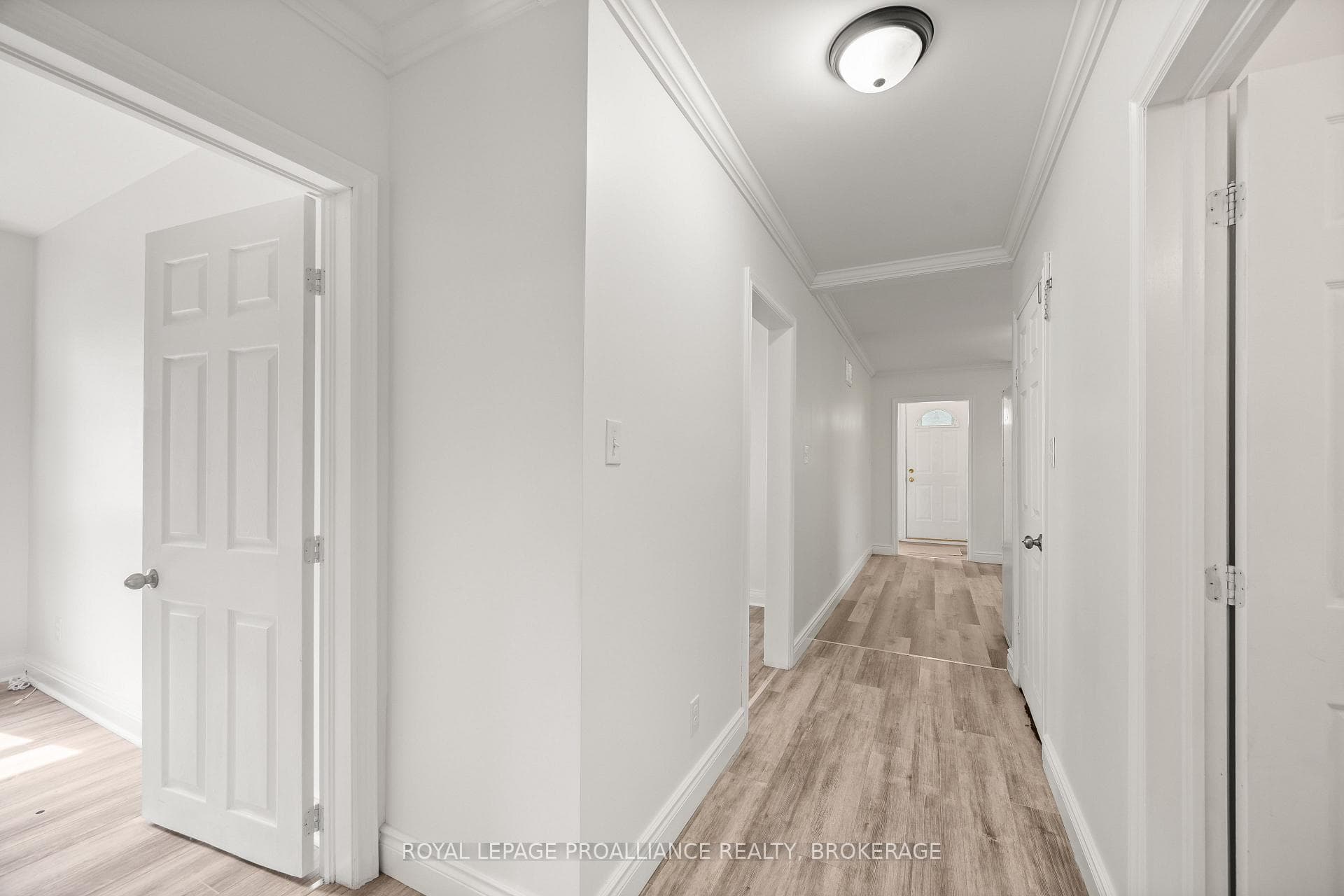 260 Elmwood Street photo 17