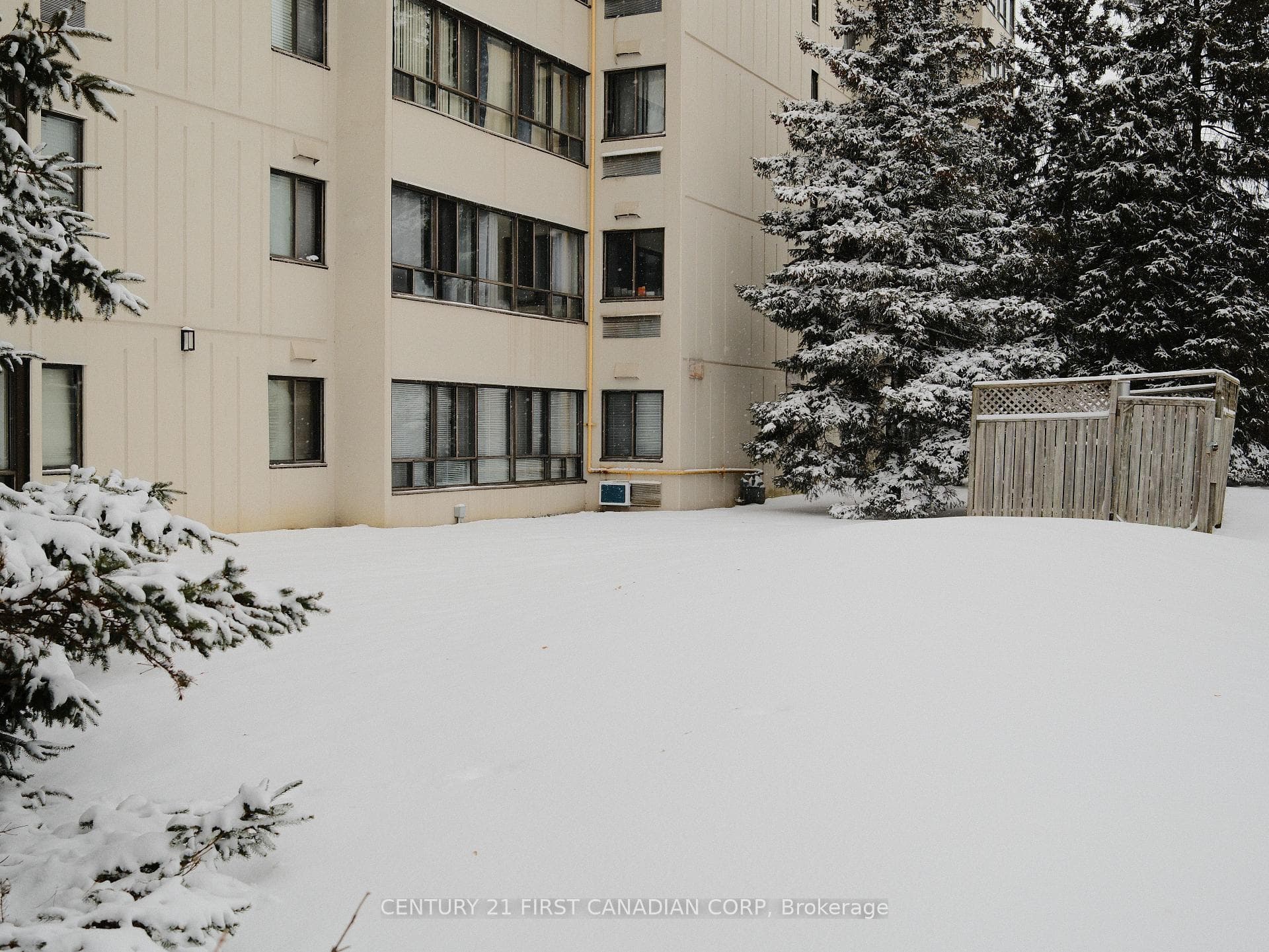 1600 Adelaide Street Unit 107 photo 3