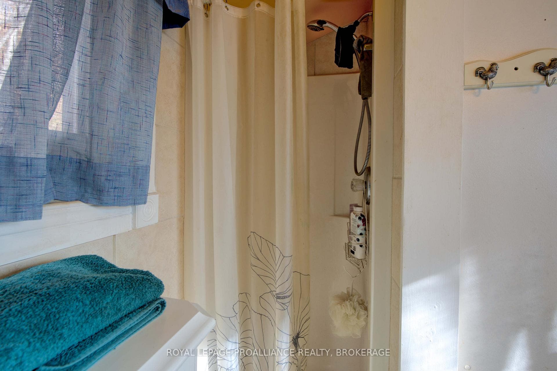 72 Dragonfly Lane photo 26