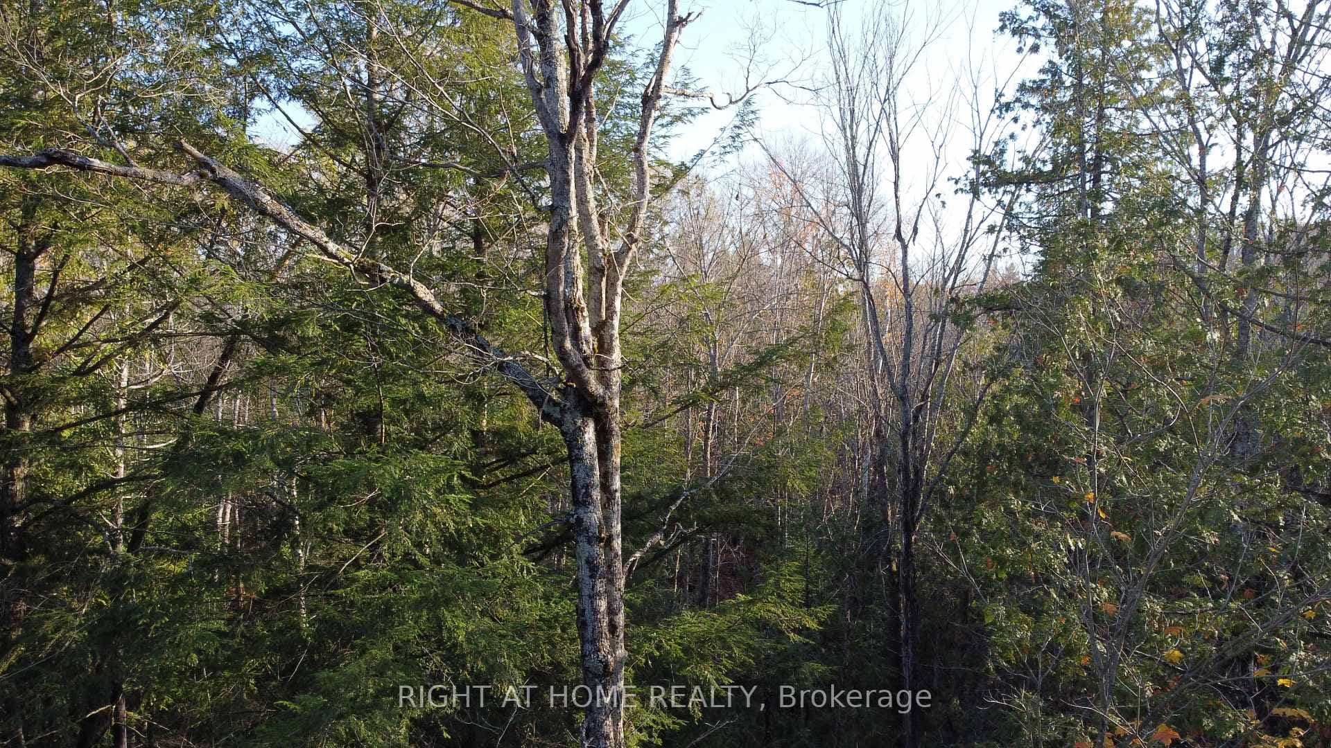 2263 Machar Strong Boundry Road photo 3