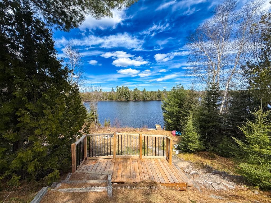 93 White Pine Road photo 22