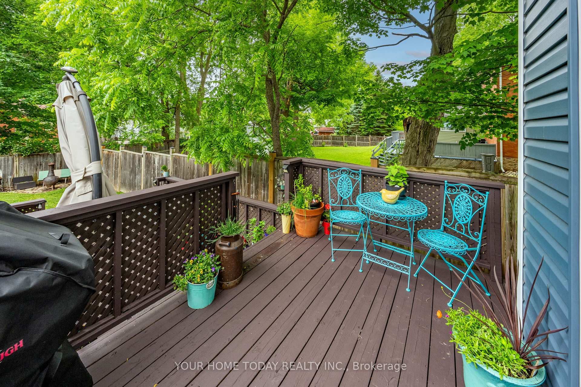 7 Albert Street photo 26