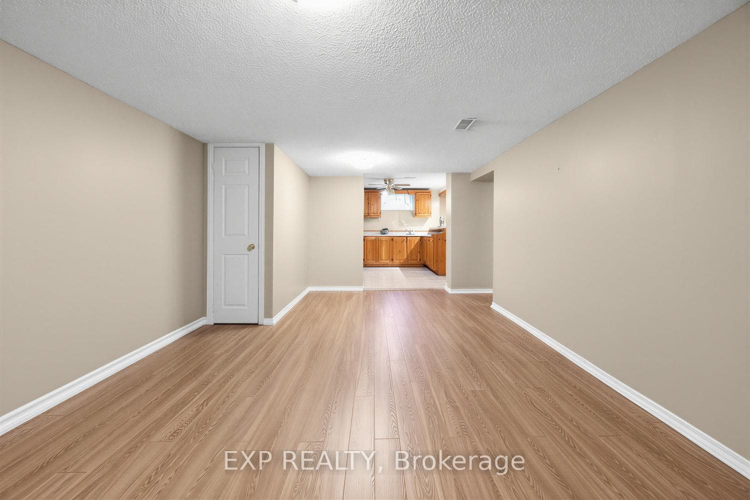 Basement Living Room