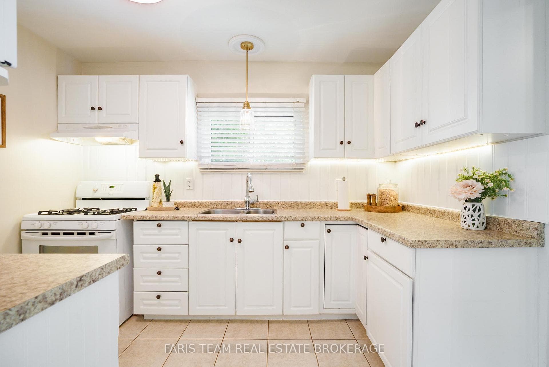 37 Wilde Place photo 5