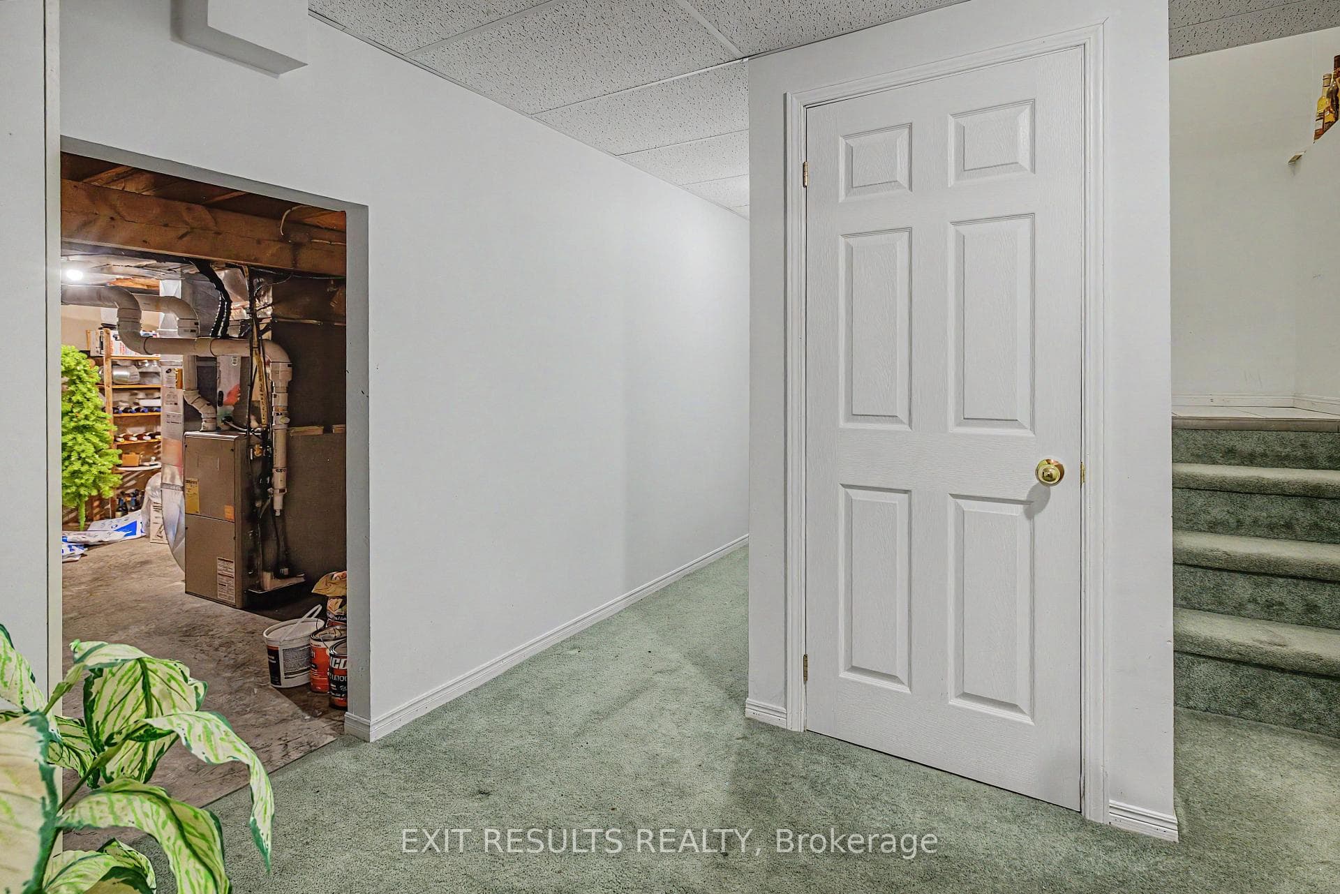 51 Elizabeth Street photo 25