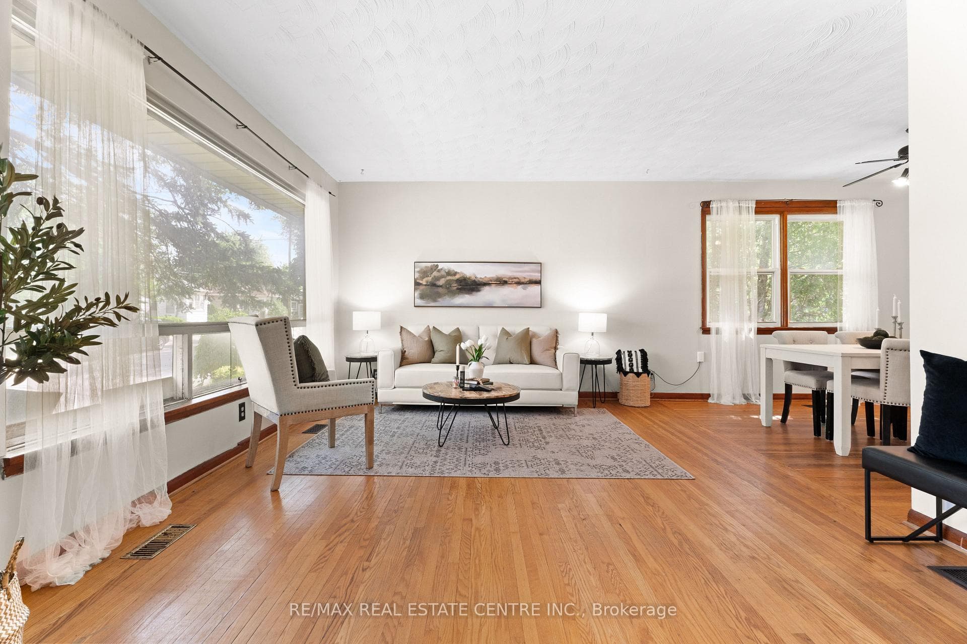 12 Ewing Street photo 10